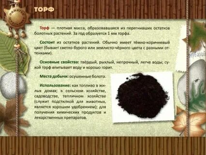 Из остатков растений образовались