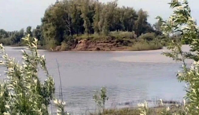 Озеро кучум. Озеро тайлаково. "тайна озера кучум". Кучум гора в ишимском районе. Озеро кучум.