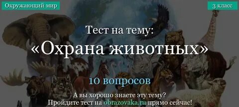 Тест животный мир 3 класс