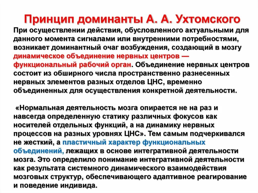 Принципы деятельности мозга. Принцип Доминанты Ухтомского. Доминанта в физиологии. Механизм возникновения Доминанты. Принцип доминантности физиология.