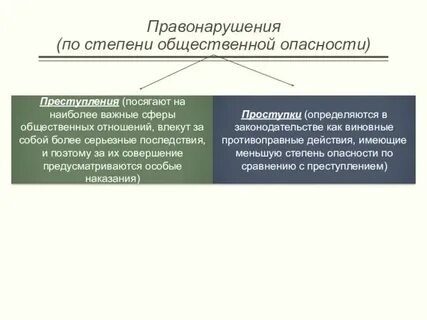 Правонарушение общественно опасное виновное поведение
