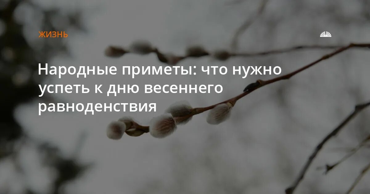 Весенних дней приметы. Приметы весеннего равноденствия. Весеннее равноденствие начало астрономической весны. Приметы на день равноденствия. День весеннего равноденствия в 2024 приметы