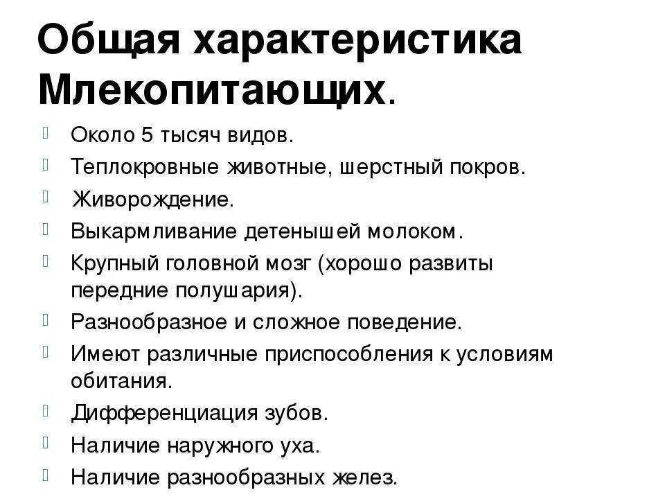 Выберите три признака характерные класс млекопитающие. Основные характеристики класса млекопитающие. Основная характеристика класса млекопитающие. Основная характеристика млекопитающих 7 класс. Общая характеристика класса млекопитающие 7 класс биология.