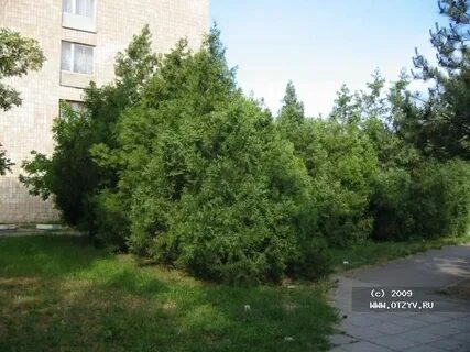 Поселок красные зори