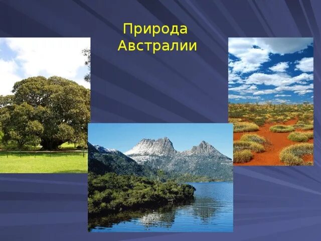 Особенности природных комплексов австралии. Природа Австралии презентация. Австралия природа для детей. Природа Австралии 2 класс. Природа Австралии 7 класс.