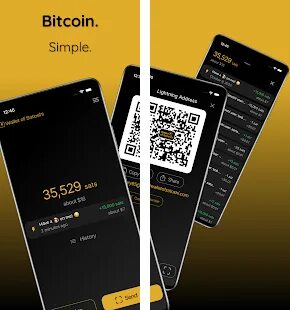 Wallet of satoshi