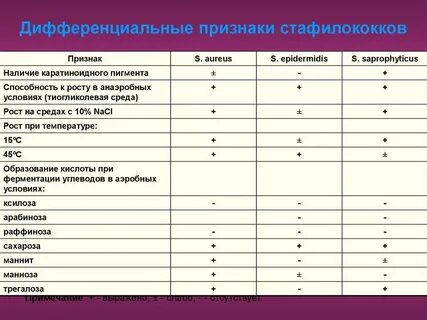 Стафилококк это простыми словами симптомы