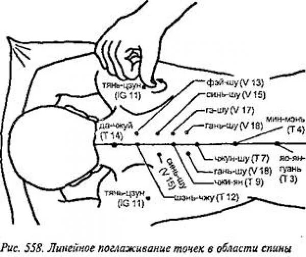 Точки на спине для массажа для возбуждения. Точки на спине для массажа эрогенные. Линейный массаж. Техники массажа спины для женщин.