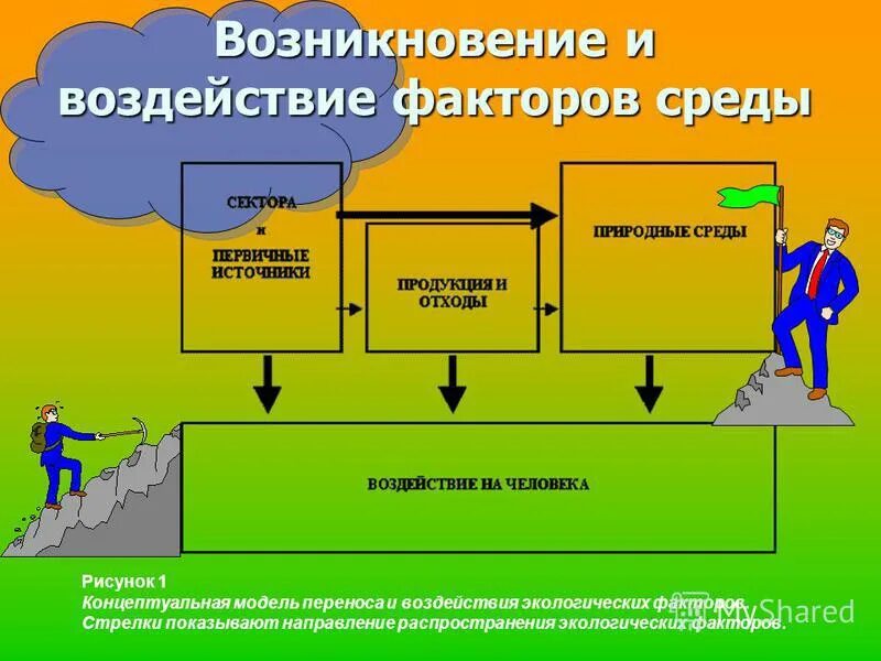 Влияние окружающей среды на продолжительность жизни человека