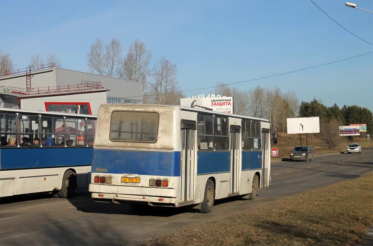 Г железногорск красноярский край автобус. Икарус 260 Железногорск. Икарус 260.50 ае 392 24. Икарус 256 Железногорск Красноярский. Автобусы Железногорск Красноярский.