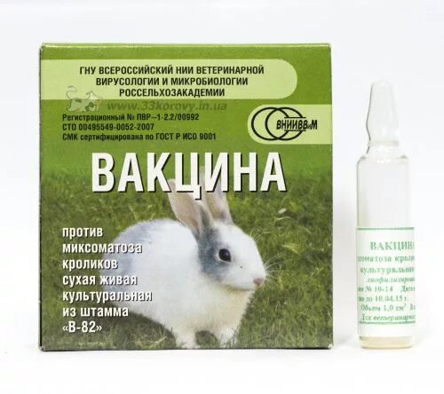 Прививки кроликам ГБВК. Миксоматоз и ВГБК У кроликов вакцина. Вакцина ВГБК+миксоматоз ассоциированная сухая. Прививка от ВГБК И миксоматоза для кроликов миксоматоза.