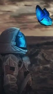 Скафандр и бабочка