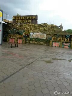 Архипо осиповка зоопарк