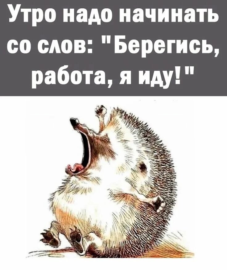 Юмор про работу. В глазах бегущая строка сплошного мата. Все пора худеть иду такая с работы краем глаза вижу кто-то рядом. Иду я такая на работу. Иду я такая на работу.