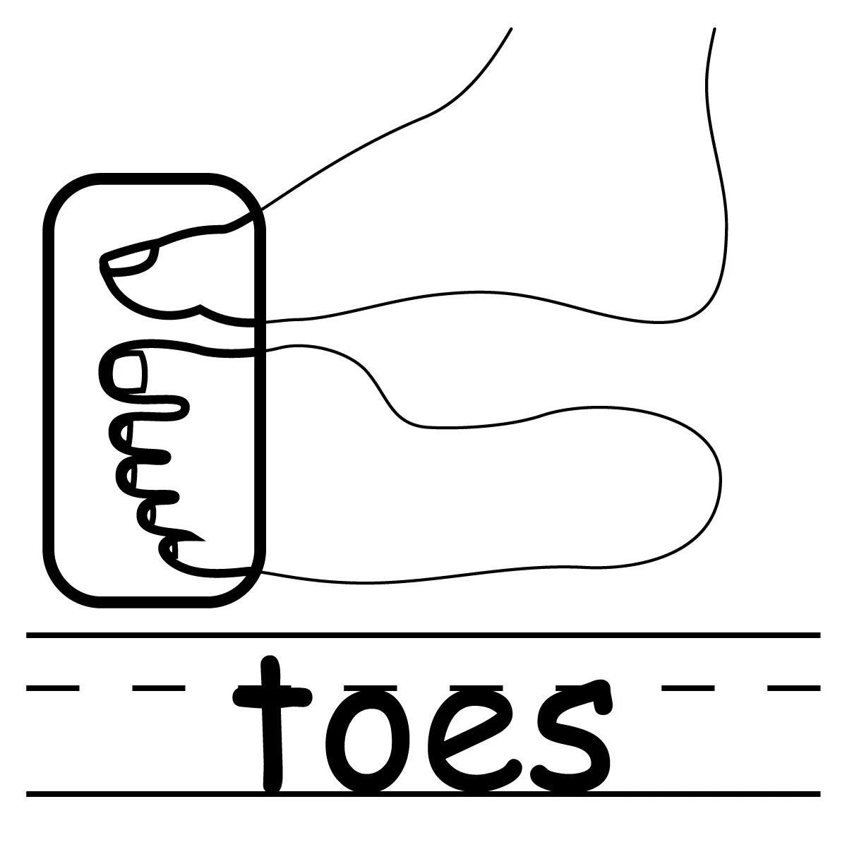 Слова песни head shoulders knees and toes. Toes names. Bodyparts карточки для детей. Нарисовать пальцы на ногах. Toes на английском языке.