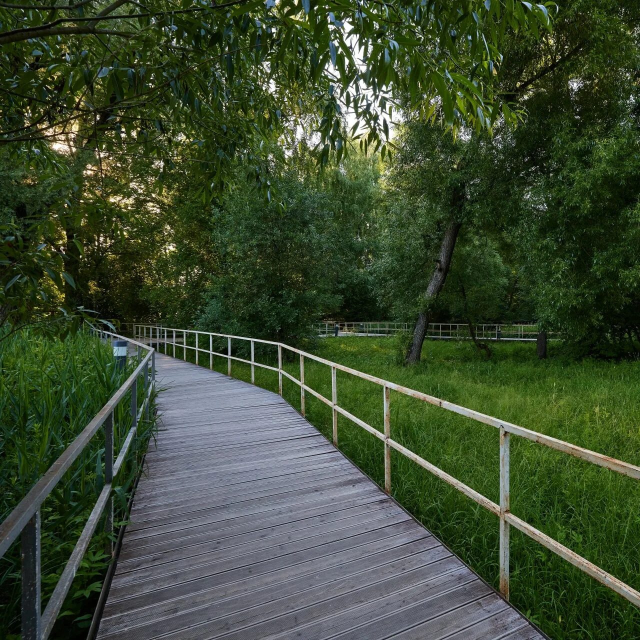 Заречье десна. Парк Заречье в Москве. Троицкий парк Заречье. Парк Заречье Троицк.