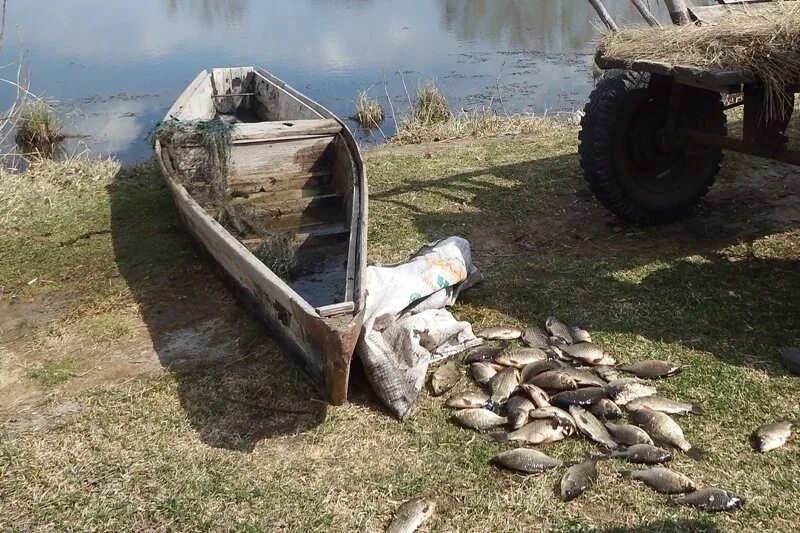 Погода титовка алтайский край егорьевский. Рыбнадзор Алтайский край. Рыбнадзор Усть Пристанского района Алтайского края. Титовка Алтайский край Егорьевский район. Браконьеры Алтайский край Тальменский район.