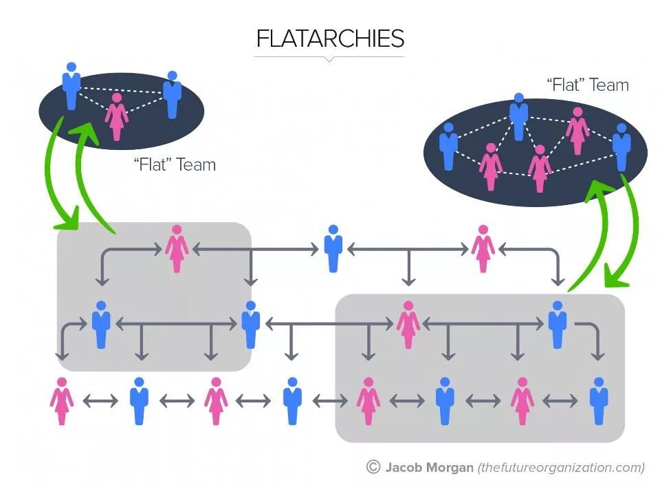 Flat structure. Flatarchy structure. flat organizational structure. flat structure of organization. types of organizational structure.