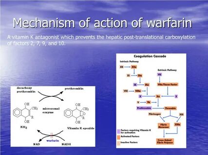 Mechanism of action