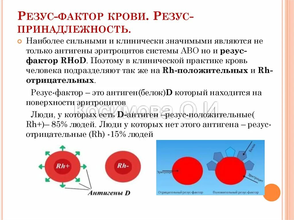 Группа крови без анализа. Группа крови IV(ab) резус-фактор (rh) положительный. Система rh эритроцитов резус фактор. Группы крови системы ab0. Антигены эритроцитов и антитела к ним.. Отрицательный резус-фактор есть агглютинация.