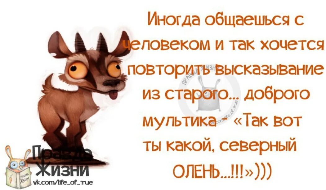 Смысл высказывания работа. Цитаты про работу со смыслом. цитаты про работу со смыслом смешные. высказывания про работу. афоризмы про работу со смыслом прикольные.