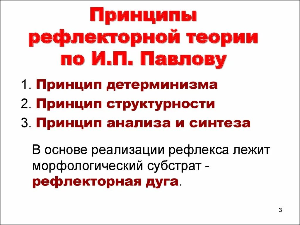 Принцип рефлекса. Принципы рефлекторной теории. Принципы рефлекторной теории физиология. Основные принципы рефлекторной теории. Принципы рефлекторной теории и.п Павлова.