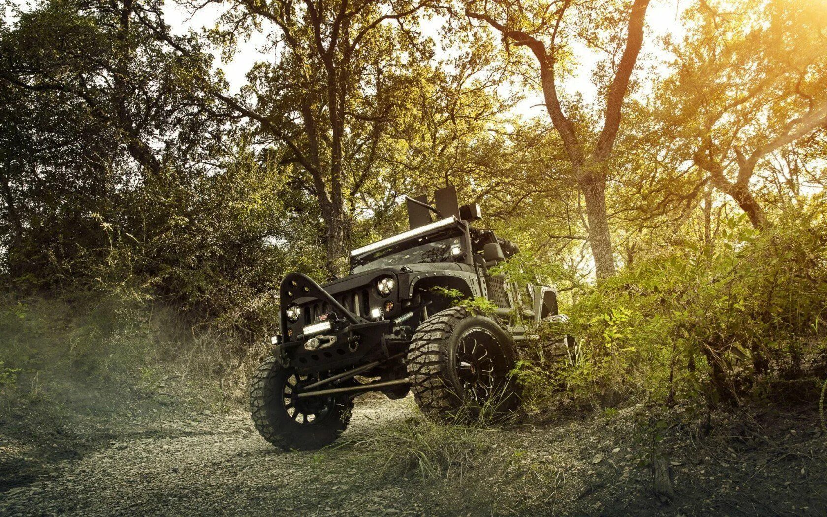 Jeep Willys off Road. Off Road Джипы. Jeep Wrangler off Road.