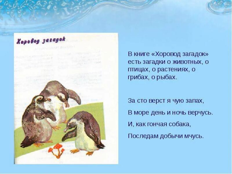 Загадки про птиц. Основные фигуры хоровода. Хоровод загадок. Хоровод загадок. Загадка про хоровод.