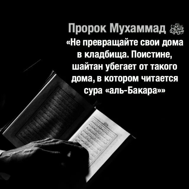 Есть слово пророка. Мусульманские цитаты. Хадисы пророка Мухаммада с.а.в. Цитаты пророка. Коран цитаты.