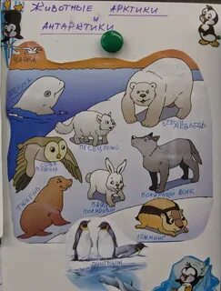 Холодных районов