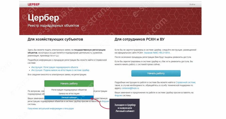 Проверить guid. Номер гуид в меркурии. гуид код меркурий. guid меркурий как узнать.