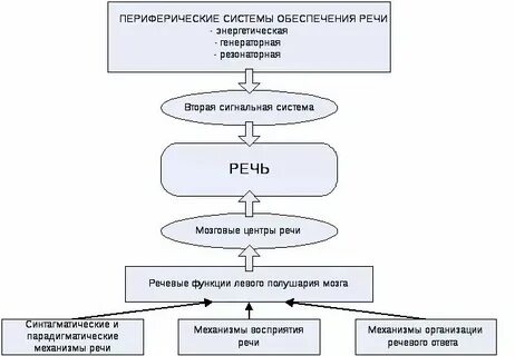 Какие системы обеспечивают речь