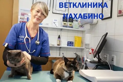 Айболит красногорск
