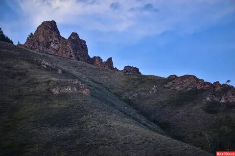 Красный гребень