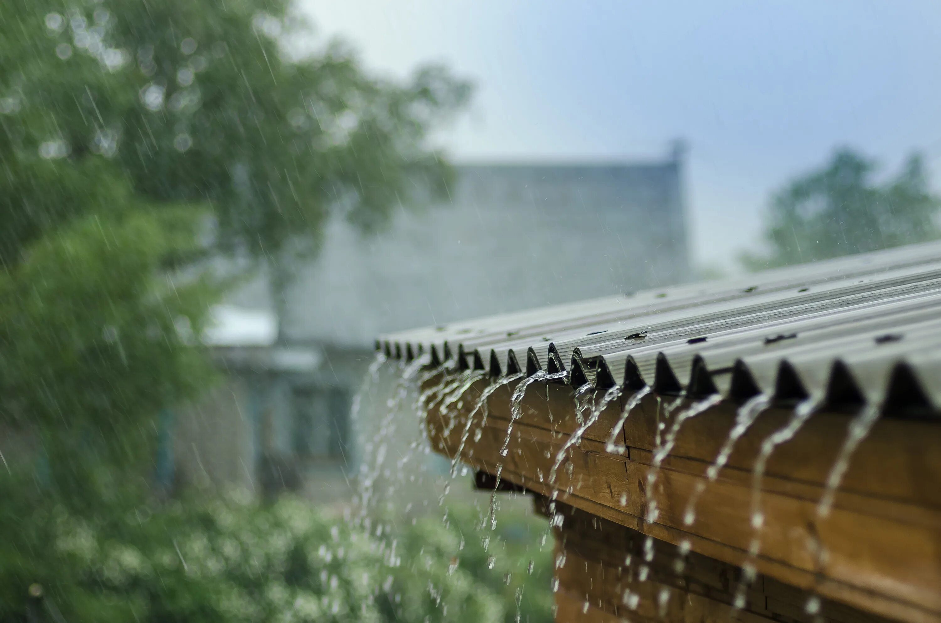 Дождь. Дождь по крыше. Ливень. Дождевая вода. Rain damage