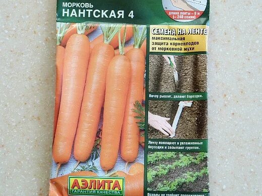 Лучшие сорта моркови для посева под зиму. Сорт моркови нантская 4. семена нантская 4. срок созревания моркови нантская. морковь нантская 4 характеристика и описание сорта.
