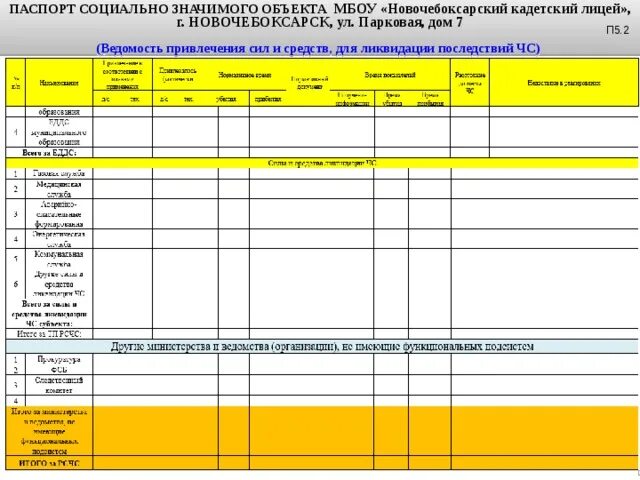 Паспорт социального проекта - Basanova.ru