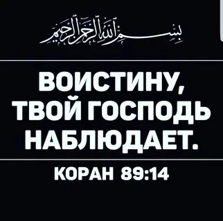 Твой господин