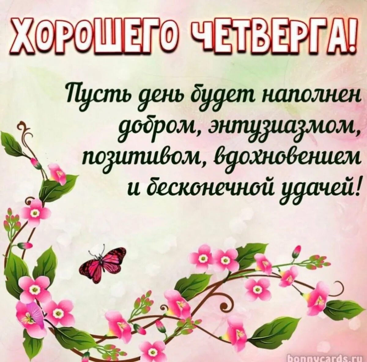 Открытки добро утро четверга с пожеланиями. Поздравление с четвергом и добрым утром. Пожелания хорошего четверга. Пожелания доброго утра и хорошего четверга. Поздравление с четвергом.