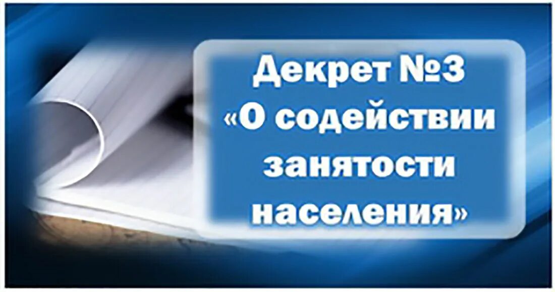 Содействие занятости. Декрет 3 о содействии занятости. Декрет 3 о содействии занятости. Содействие занятости. 296 о содействии.