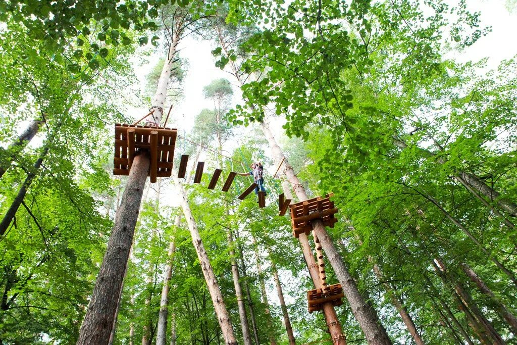 Sky park казань. Веревочный парк казань лебяжье. Sky park казань. Веревочный парк казань лебяжье. Скайпарк казань парк горького.