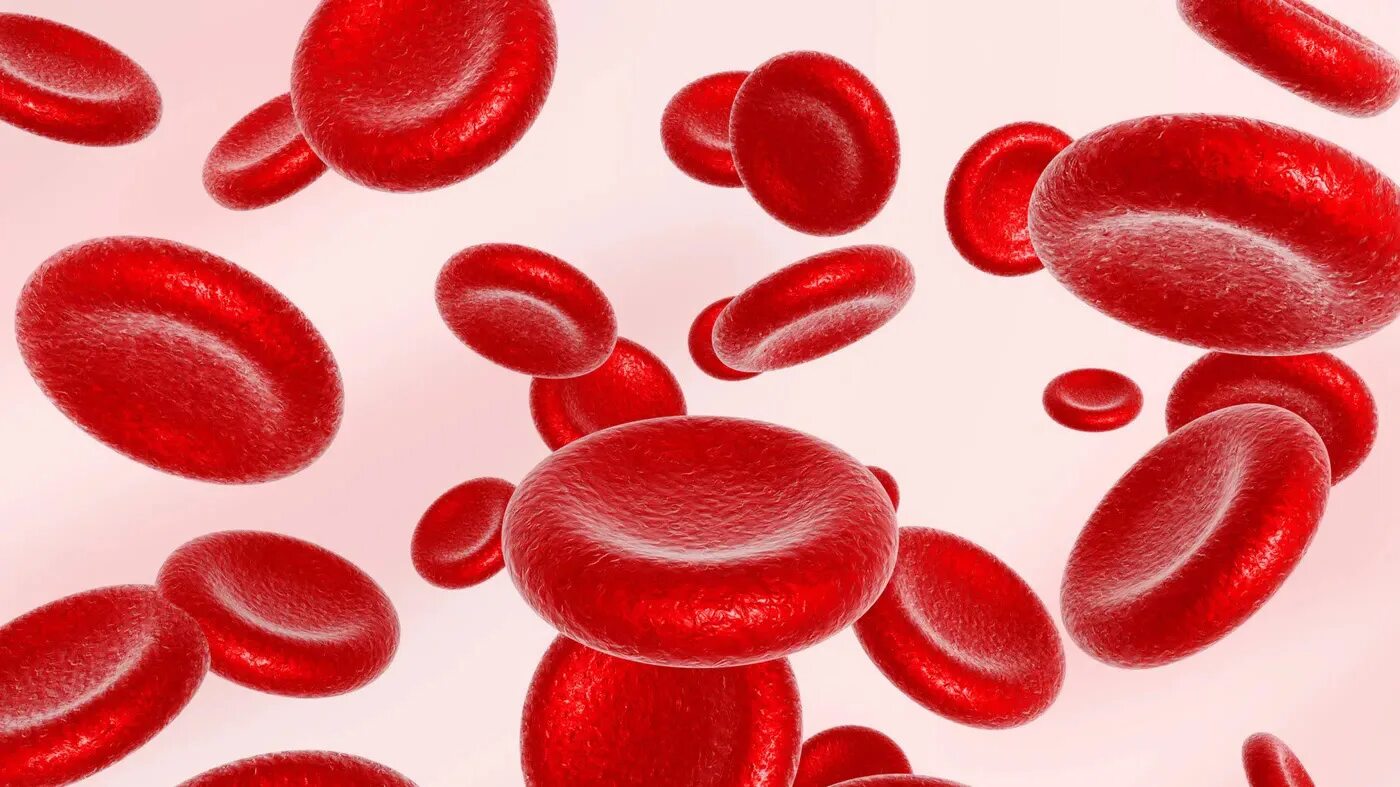 Эритроциты. Красные кровяные тельца. Ярко красный цвет крови.