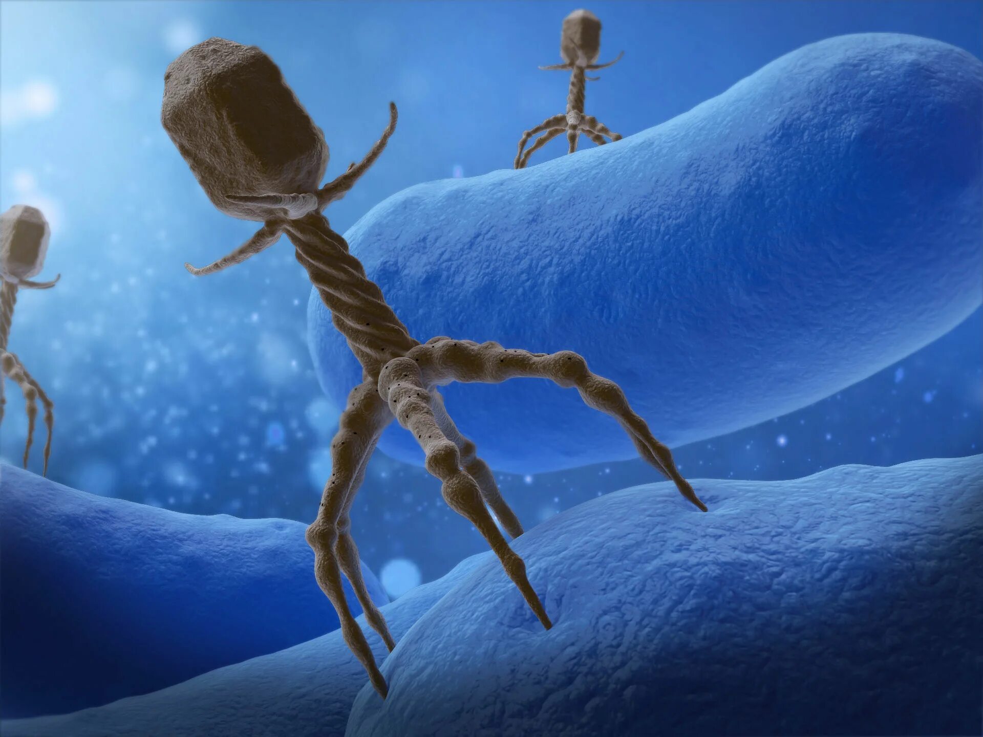 Бактерия 1 играть. 3d Bacteriophage. Микробы 3d. Бактерия 3d модель. 3д модель микроба.