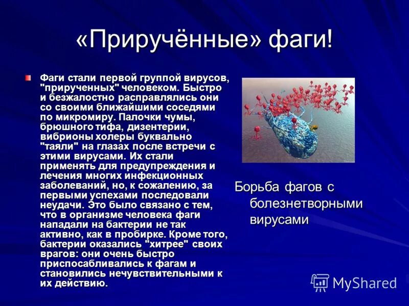 Наука изучающая вирусы