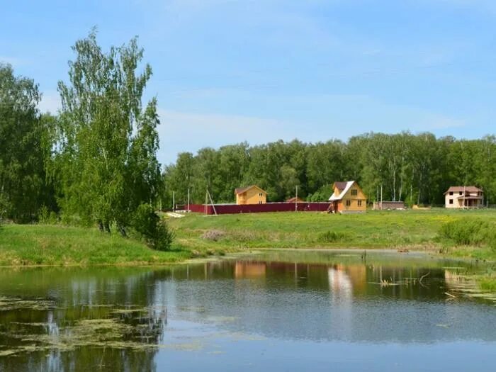 Погода в шульгинке алтайский край. Шульгинка Алтайский край. Шульгинские озера Алтайский край. Шульгинский пляж Алтайский край. Шульгинка Алтайский край Советский район озеро.