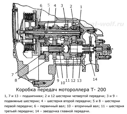 Двигатель т200 муравей схема коробка передач. Двигатель т200 муравей схема. КПП мотороллера Тула 200. Коробка мотороллер муравей схема.
