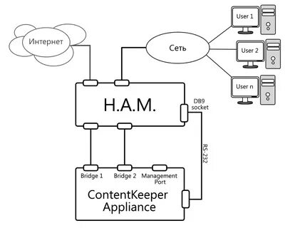 User network