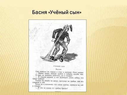 Рассказ толстого сыновья