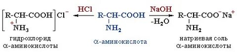 Глицин naoh
