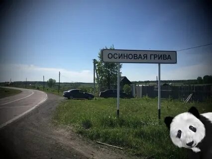 Погода осиново точная